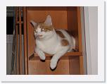 Immagine 014 * 2592 x 1944 * (1.22MB)
